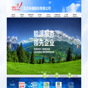 龙正环保股份有限公司